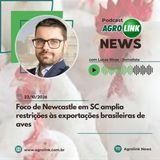 Banco do Brasil prevê renegociar R$ 20 bilhões em dívidas rurais