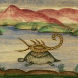 De Schorpioen en de Schildpad | Klassieke Fabels