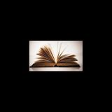 Immagine di copertina di 'Libris di scugnî lei'