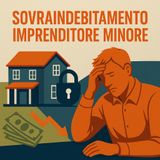 Gestione Crisi e Sovraindebitamento Imprenditore Minore