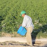 Campo o ciudad: ¿dónde envejecemos mejor?