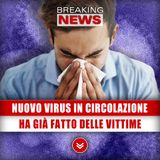 Nuovo Virus In Circolazione: Ha Già Fatto Delle Vittime!