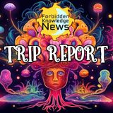 FKN Trip Report E4: My 3rd Eye & Pineal Activated