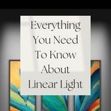Everything You Need To Know About Linear Light