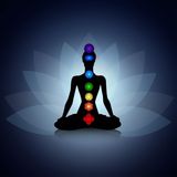 CHAKRA, i 7 sigilli dell’anima... e il segreto dell’ottavo proibito