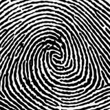 Rob McConnell Interviews - PAUL RIMMASCH - Finger Prints and Phantoms