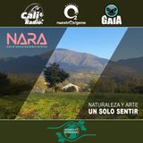 NUESTRO OXÍGENO Naturaleza y arte un solo sentir - Nido De Águilas Residencia Artística