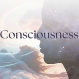What is Consciousness?