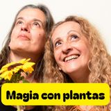 Aries y el ajo mágico