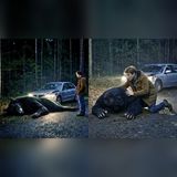 I Hit a Dogman on a Dark Road… What Crawled Back Wasn’t Dead
