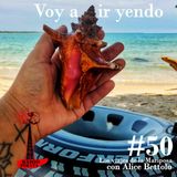 CAP 50 Voy a ir yendo