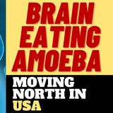 BRAIN EATING AMOEBA MOVING NORTH THROUGH U.S.