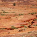 Les jeunes de Dosso face au changement climatique : comment relever le défi ?(Tous à la Fada)
