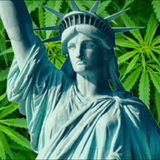 NY Preps for Legalized Cannabis- What We Know So Far