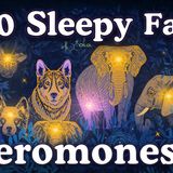 100 Dreamy Facts About Pheromones to Fall Asleep To