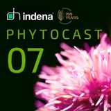 Phytocast 07: Technological Innovation