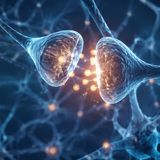 Più usi il cervello meno invecchia