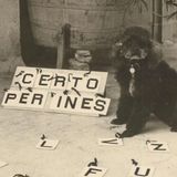 PEG: il cane che parlava e diceva di essere REINCARNATO-STORIA VERA