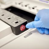 New collaboration to uncover how the hidden language of genes shapes our immune system