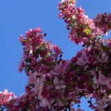 Earth Day Memories and Reflections