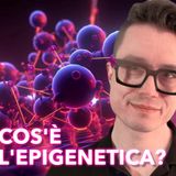 Cos'è l'epigenetica?