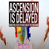 David Wilcock EXPOSED! Ascension is delayed! Wilcock pushes back the endgame again!