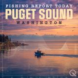 Autumn Coho Blitz on Puget Sound