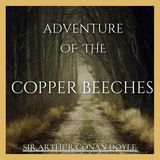 The Adventure of the Copper Beeches - 03 - Part III