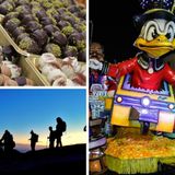 Cioccolato, escursioni, scrittura creativa e Carnevale: gli appuntamenti del fine settimana