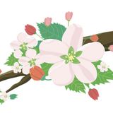 De trotse kleine appelbloesem | Verhalen Over Trots