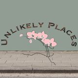Unlikely Places - Trailer