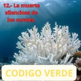12.- La muerte silenciosa de los corales.