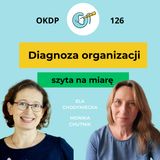 Diagnoza organizacji szyta na miarę - OKDP 126