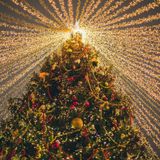 Belleza: Cómo pasar del delantal a un buen estilismo en Nochebuena