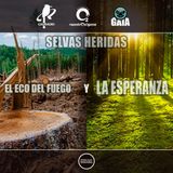 NUESTRO OXÍGENO Selvas heridas - El eco del fuego y la esperanza