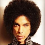 Prince: a beautiful trip: Mr Nelson: puntata 183