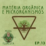 #013 Matéria Orgânica e Microrganismos