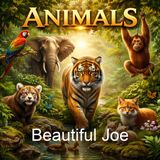 Beautiful Joe - Marshall Saunders - Part 2