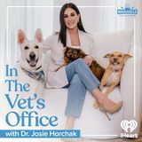 Introducing "In The Vet's Office" with Dr. Josie Horchak