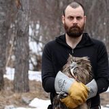 The hunt for the world’s largest owl