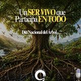 NUESTRO OXÍGENO Un ser vivo que participa en todo (El Día Nacional del Árbol)