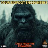 Your Sasquatch Encounters Across the USA!