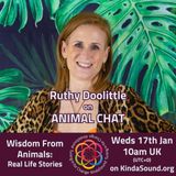 Wisdom from the Animals: Real-Life Stories | Animal Chat with Ruthy Doolittle