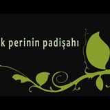 Kırk Perinin Padişahı  Sesli Türk Masalı Akın ALTAN #masal #akınaltan #seslikitap #sesli
