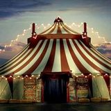 Quando il circo viene in città