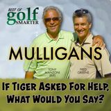 If Tiger Asked Tony Manzoni for Help, What Would He Say?