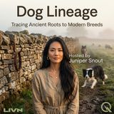 Dog Lineage - Trace your pup's roots with Juniper Snout