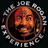 Joe Rogan Experience _2382 - Andrew Santino(M4A_128K)