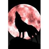 Moon Magic with Jeanet Ewing - Summer Full Moon Ritual
