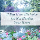 If You Hear His Voice Do Not Harden Your Heart